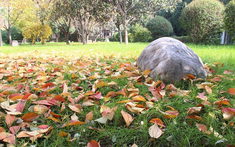 陕西机电职业技术学院