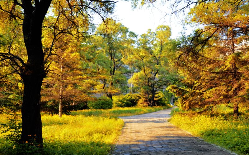 黑龙江林业职业技术学院