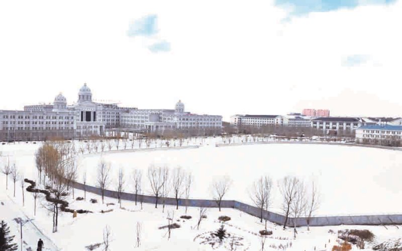 哈尔滨远东理工学院