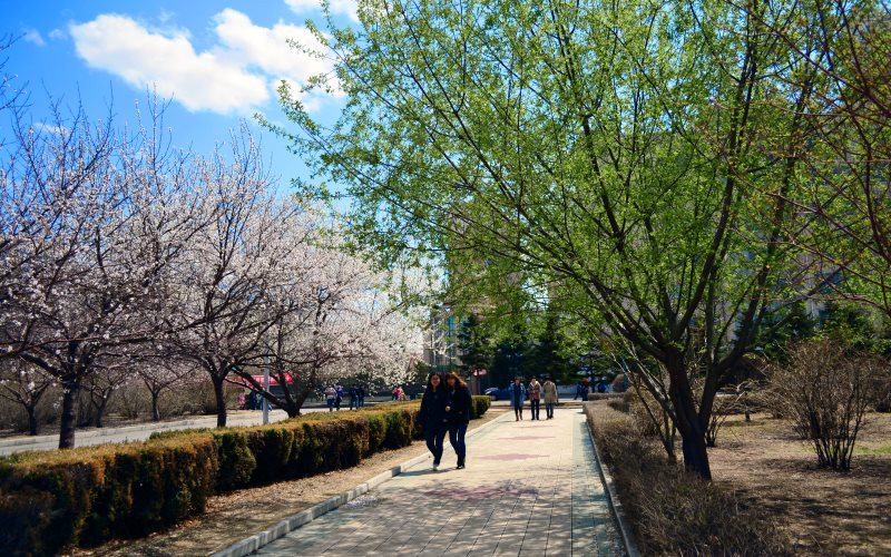 黑龙江工程学院