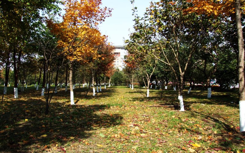 黑龙江科技大学