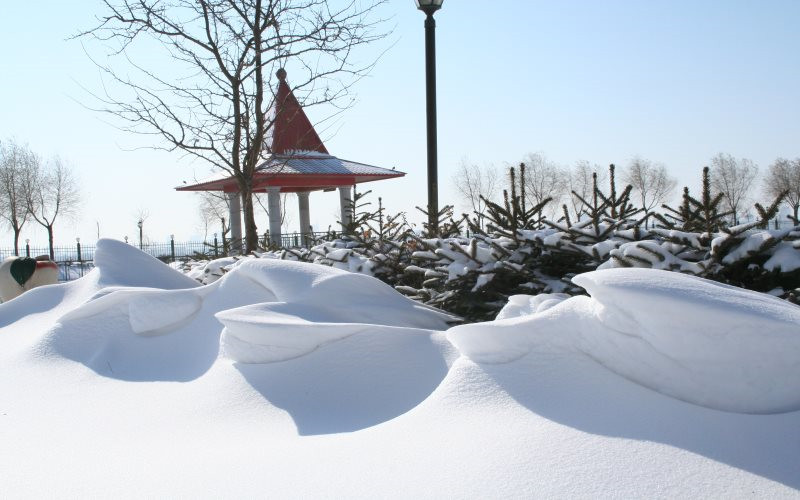 黑龙江科技大学