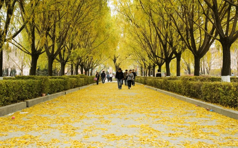 黑龙江农业工程职业学院