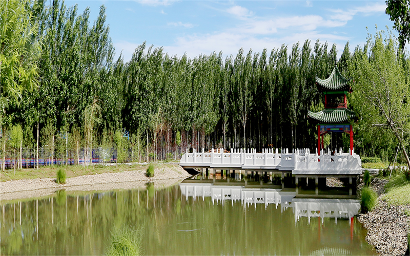 齐齐哈尔医学院