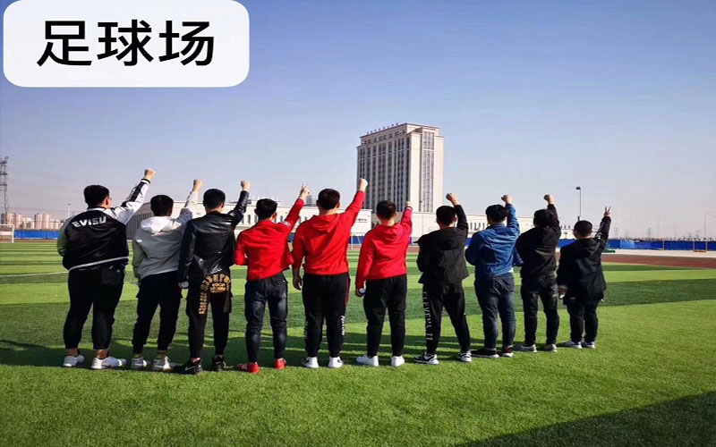 天津滨海汽车工程职业学院