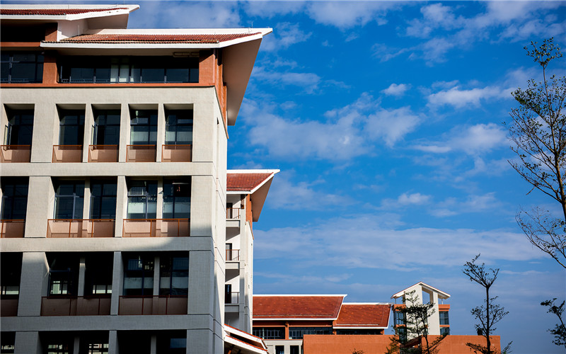 崇左幼儿师范高等专科学校