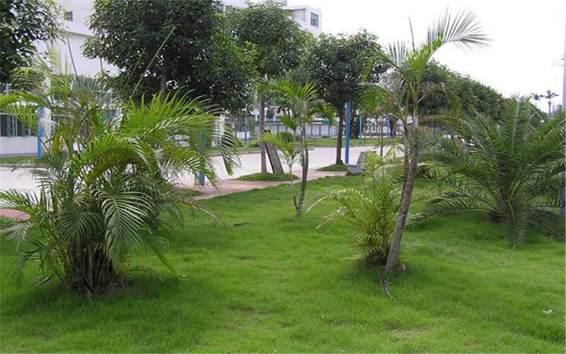 郑州电力职业技术学院