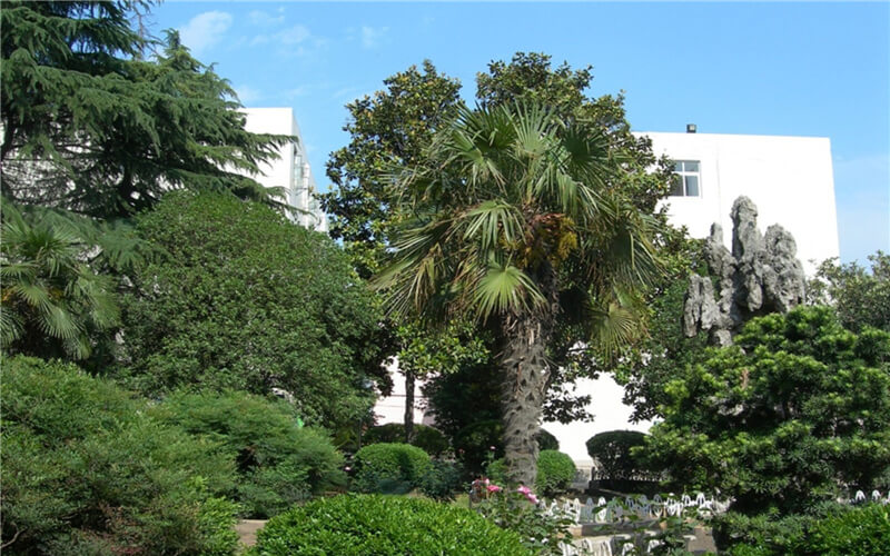 平顶山文化艺术职业学院