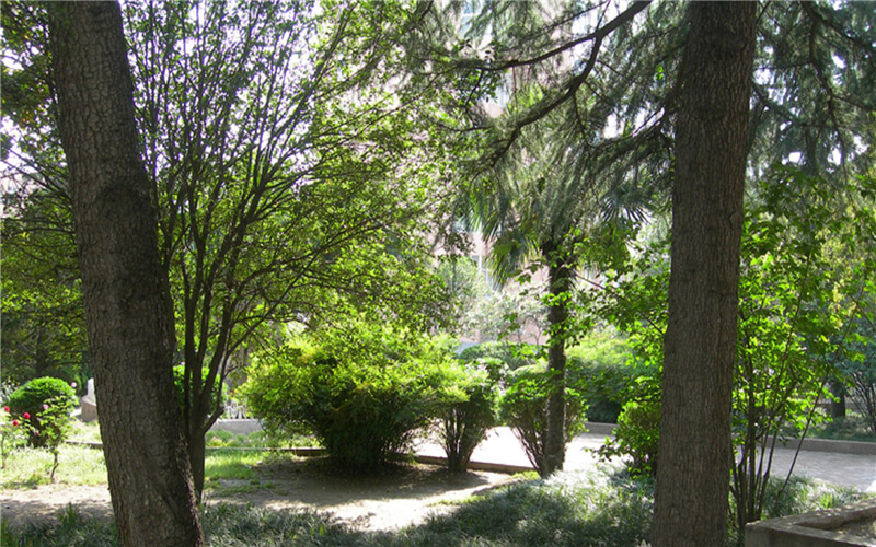 平顶山文化艺术职业学院