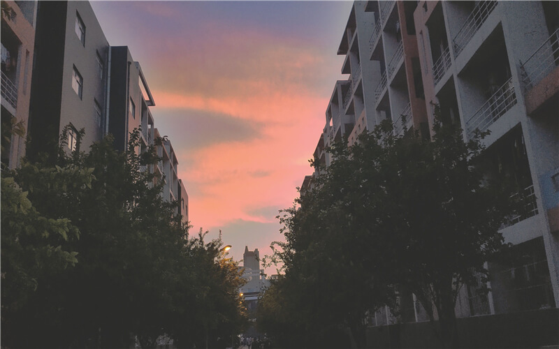 河南工业和信息化职业学院