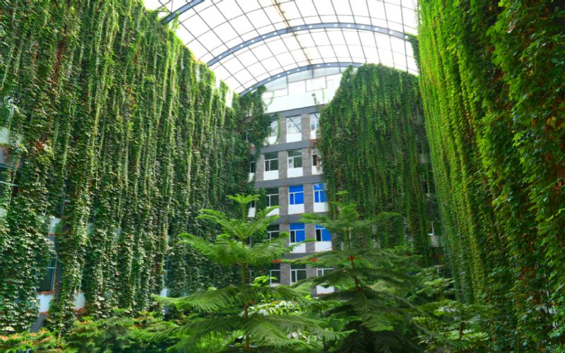 长春大学旅游学院