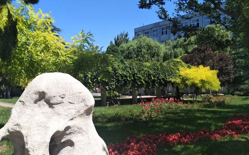 天津职业技术师范大学