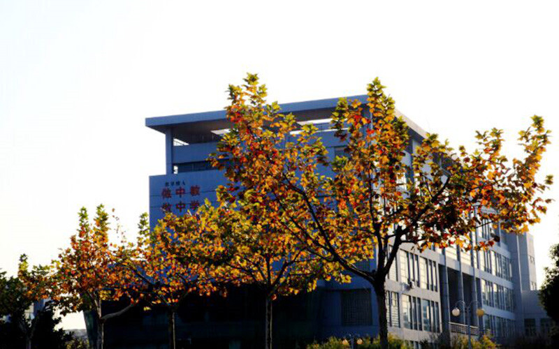 南京审计大学金审学院