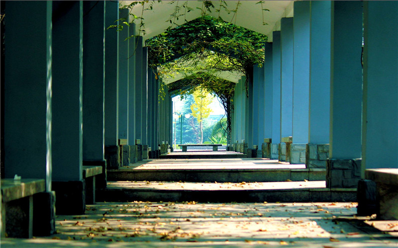 杭州电子科技大学