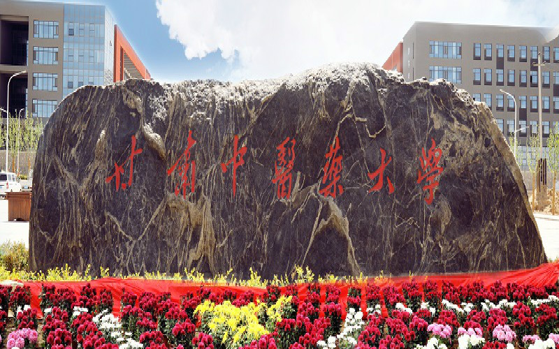 甘肃中医药大学