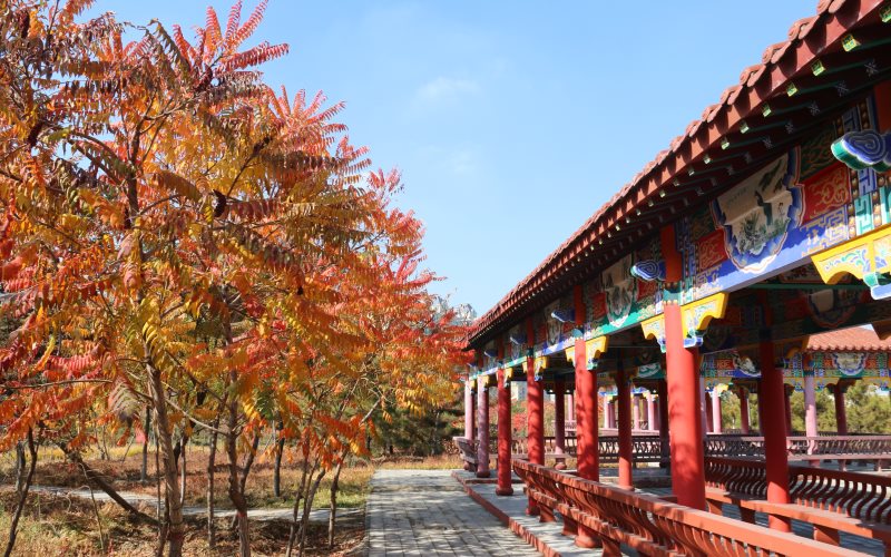 内蒙古科技大学包头医学院