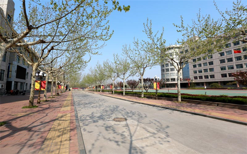 山东特殊教育职业学院