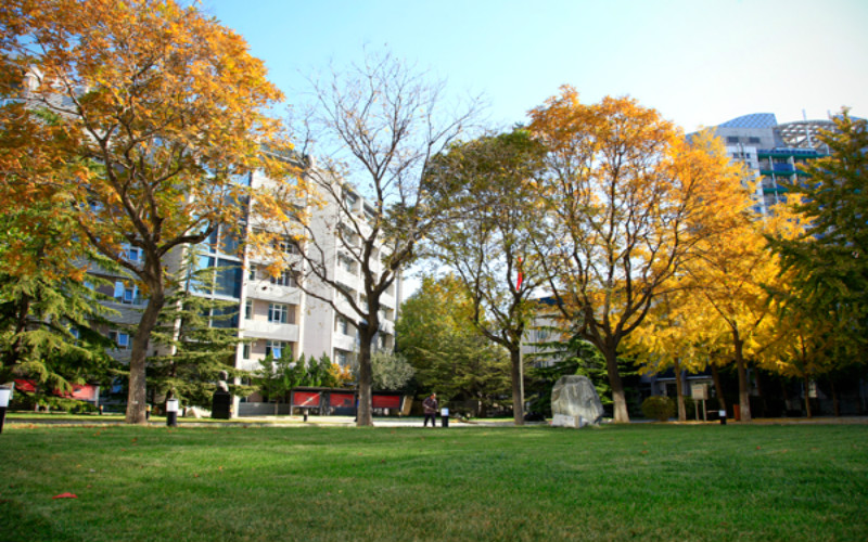 北京青年政治学院