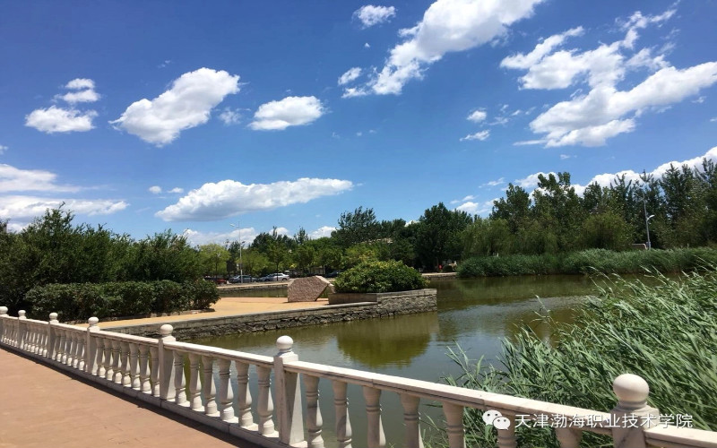 天津渤海职业技术学院