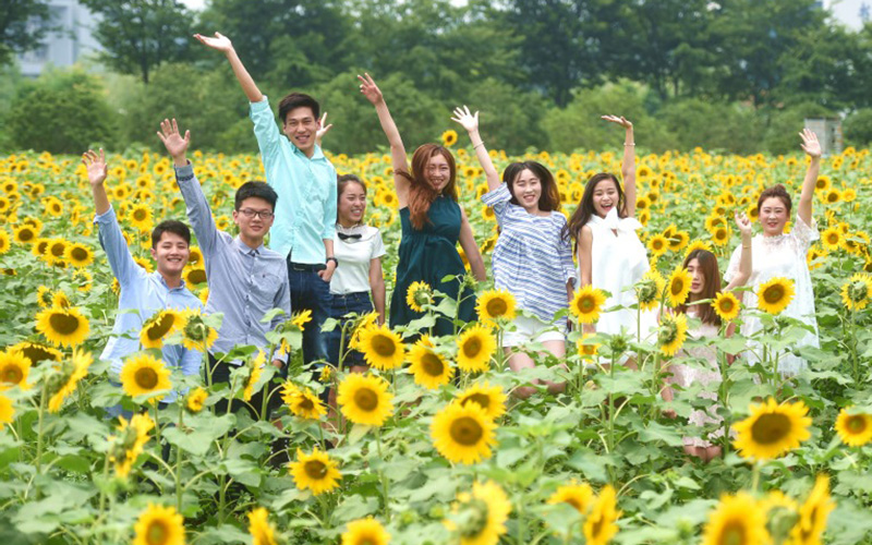 南京信息职业技术学院