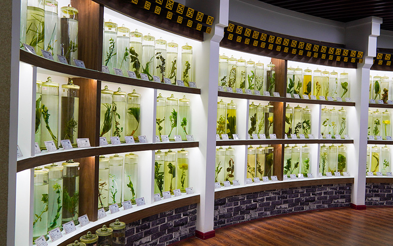 眉山药科职业学院