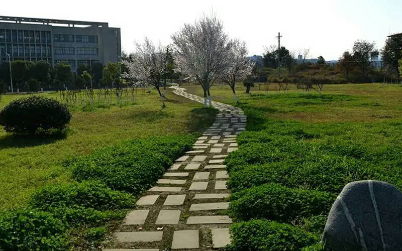 南充职业技术学院