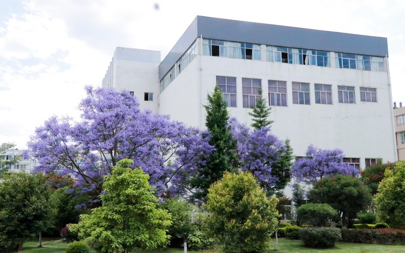 云南医药健康职业学院