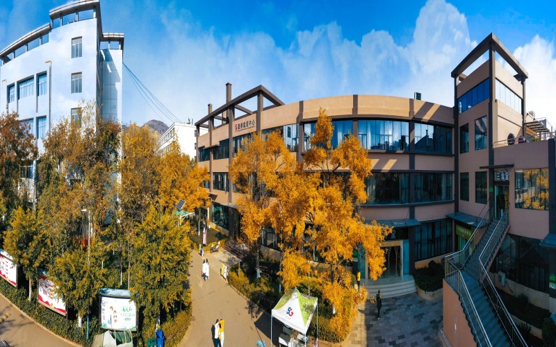 云南医药健康职业学院