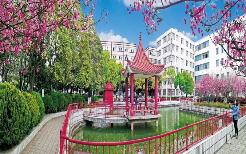 云南医药健康职业学院