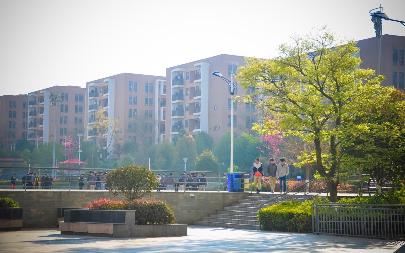 云南工程职业学院