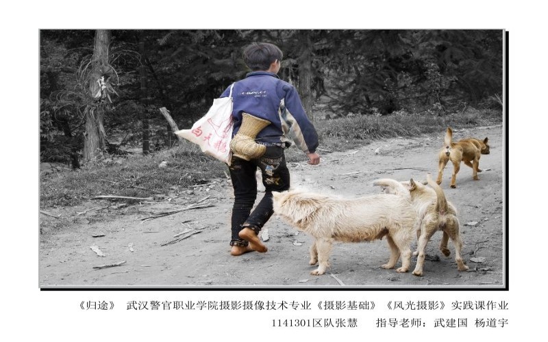 武汉警官职业学院