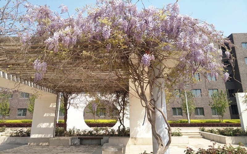 天津职业技术师范大学