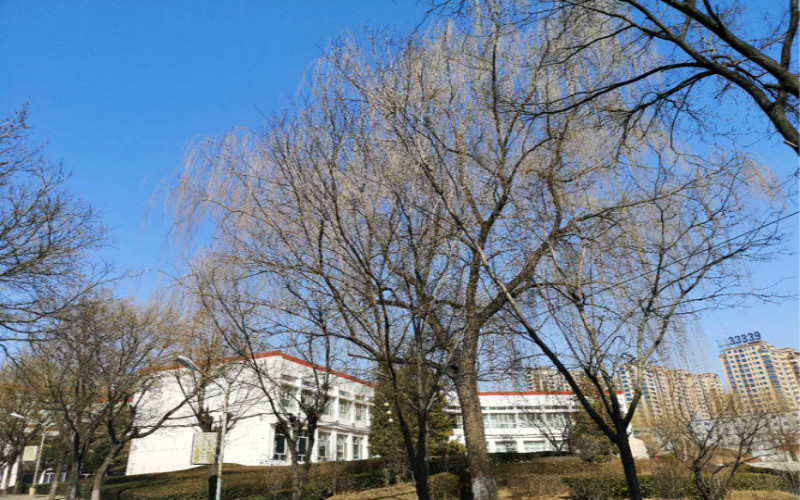 山西旅游职业学院