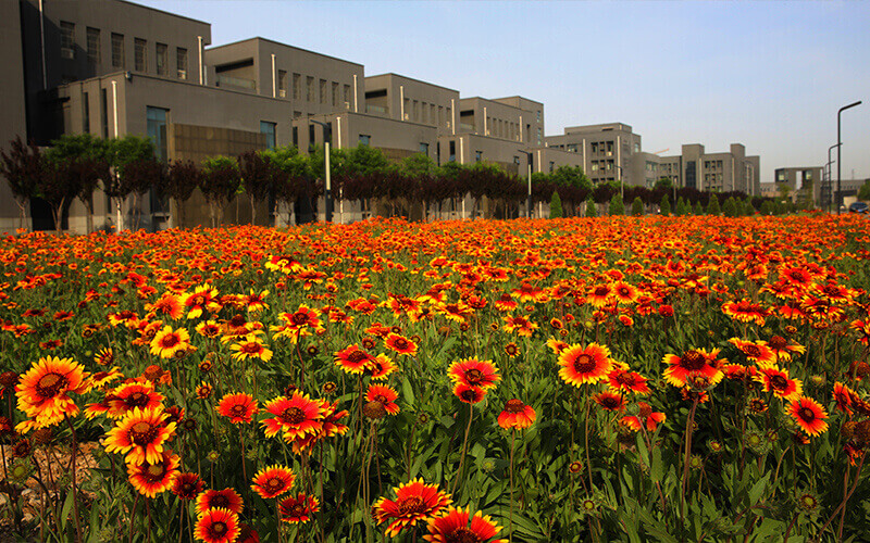 安阳职业技术学院