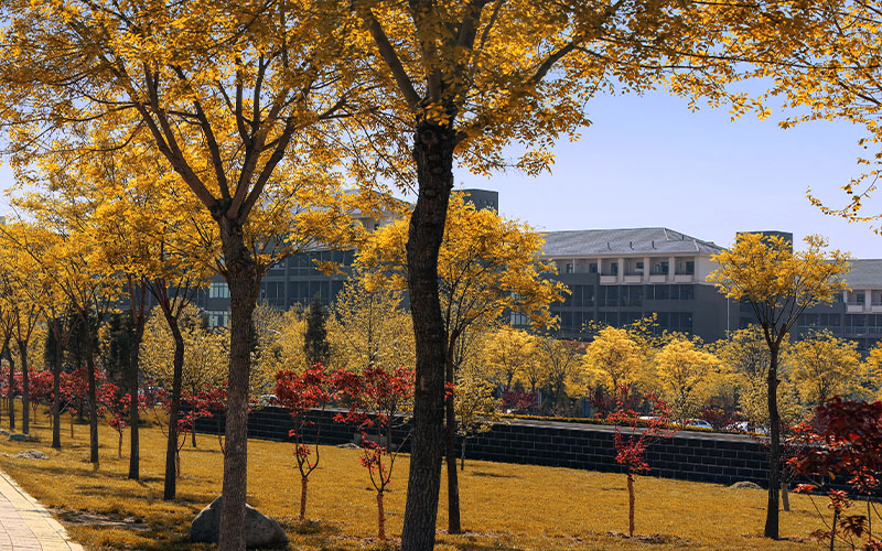 安阳职业技术学院