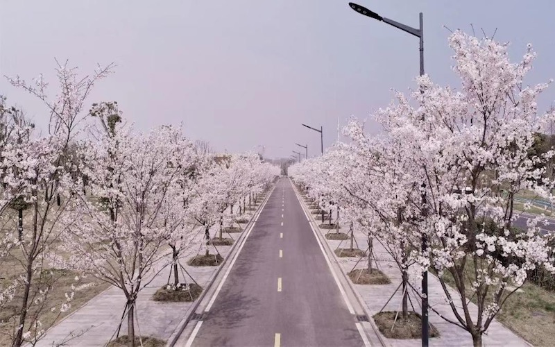 泰州职业技术学院