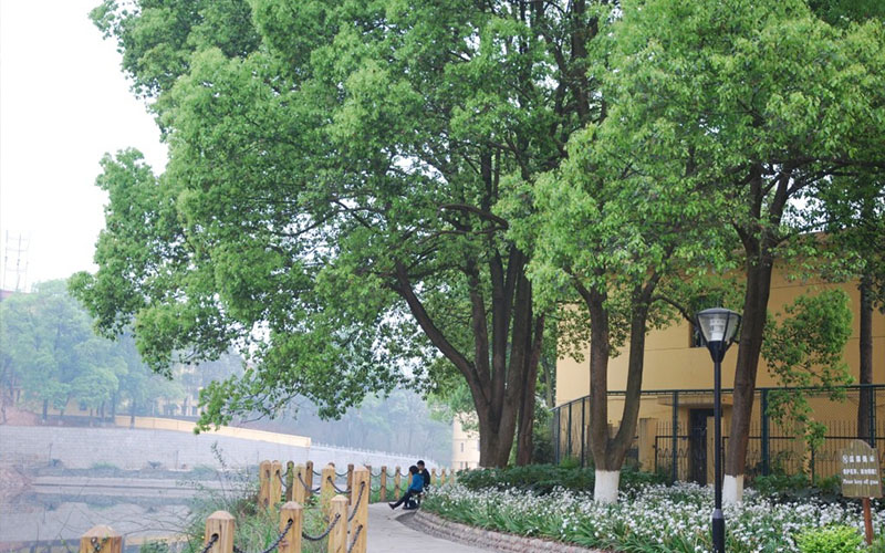 成都理工大学工程技术学院