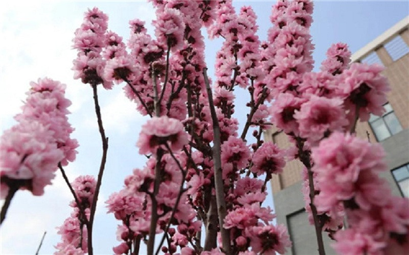 六盘水幼儿师范高等专科学校