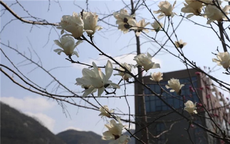 六盘水幼儿师范高等专科学校