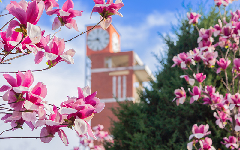 河南工业职业技术学院