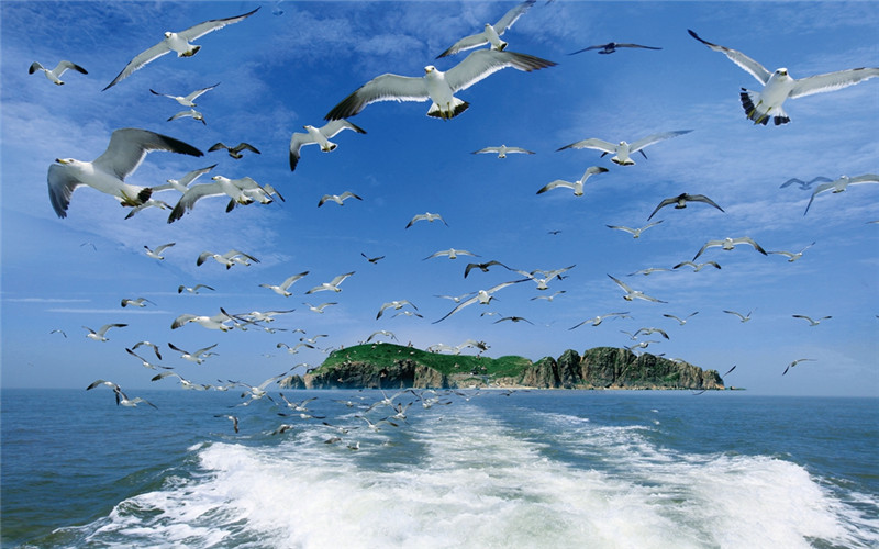 威海海洋职业学院