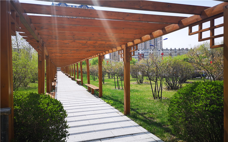 黑龙江幼儿师范高等专科学校