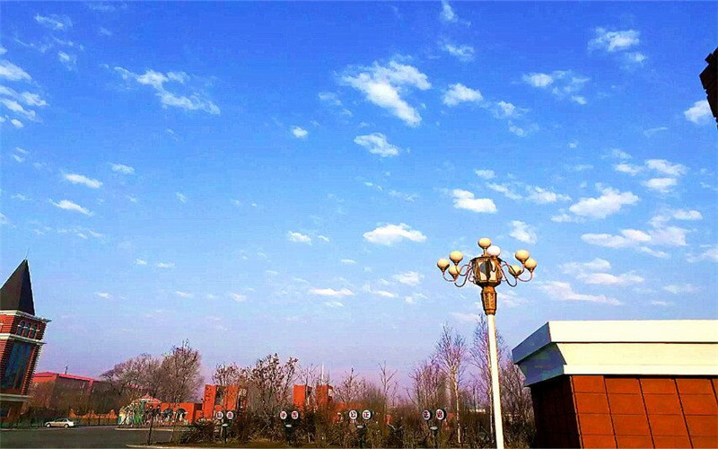 哈尔滨幼儿师范高等专科学校