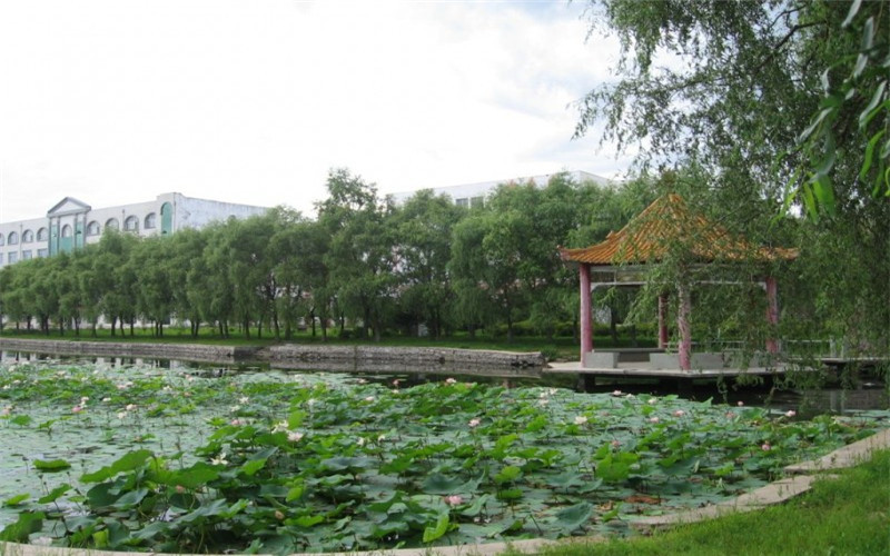 鹤岗师范高等专科学校