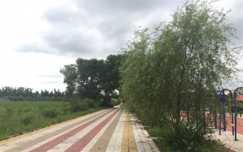 黑龙江三江美术职业学院