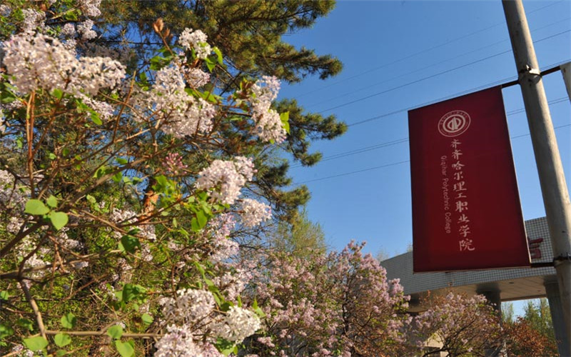 齐齐哈尔理工职业学院