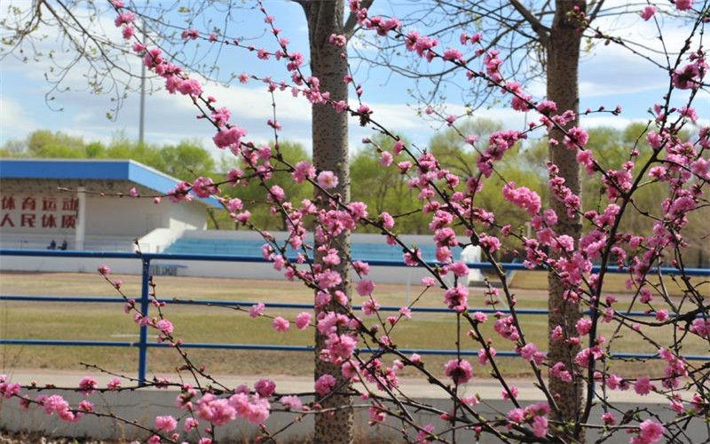 齐齐哈尔理工职业学院