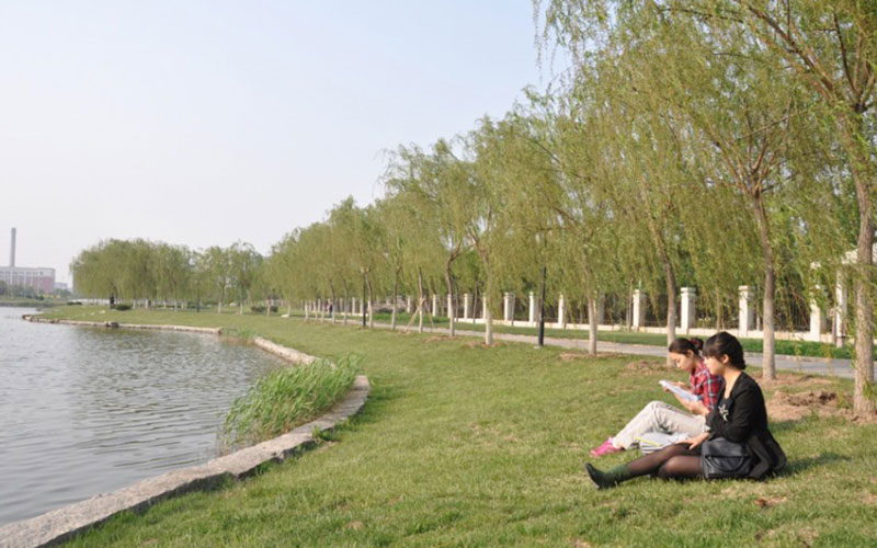 南开大学滨海学院