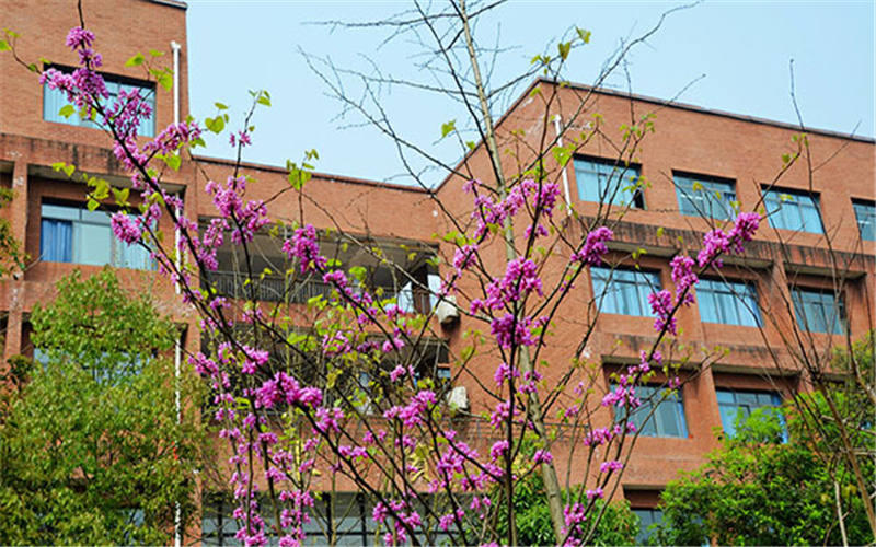 重庆机电职业技术大学