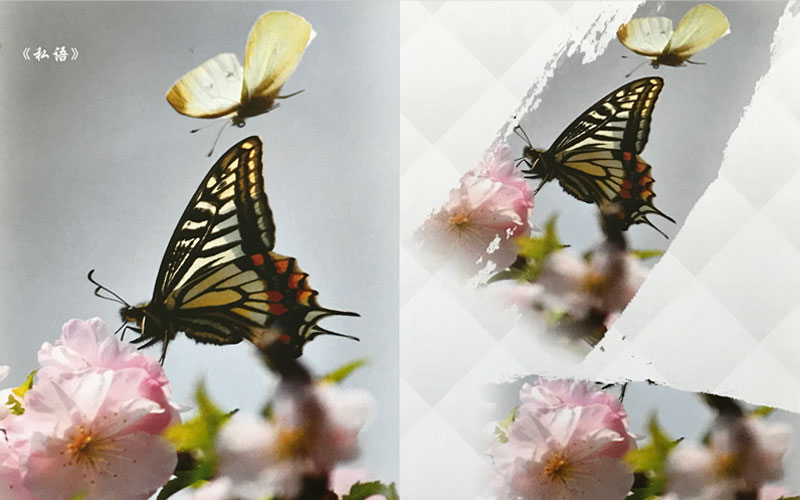 天津医学高等专科学校